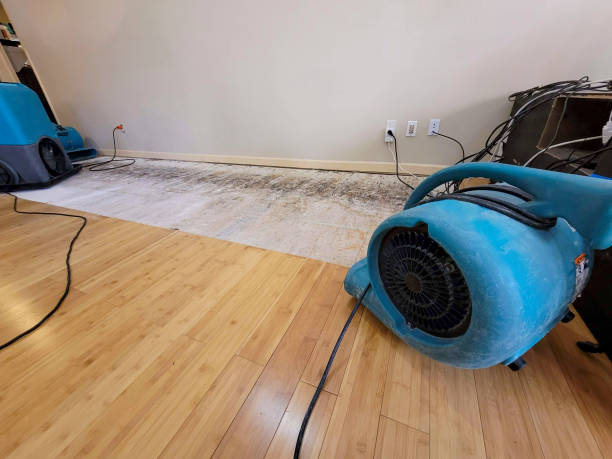 Professional Flood Damage Cleanup technician working in Lindsay, CA